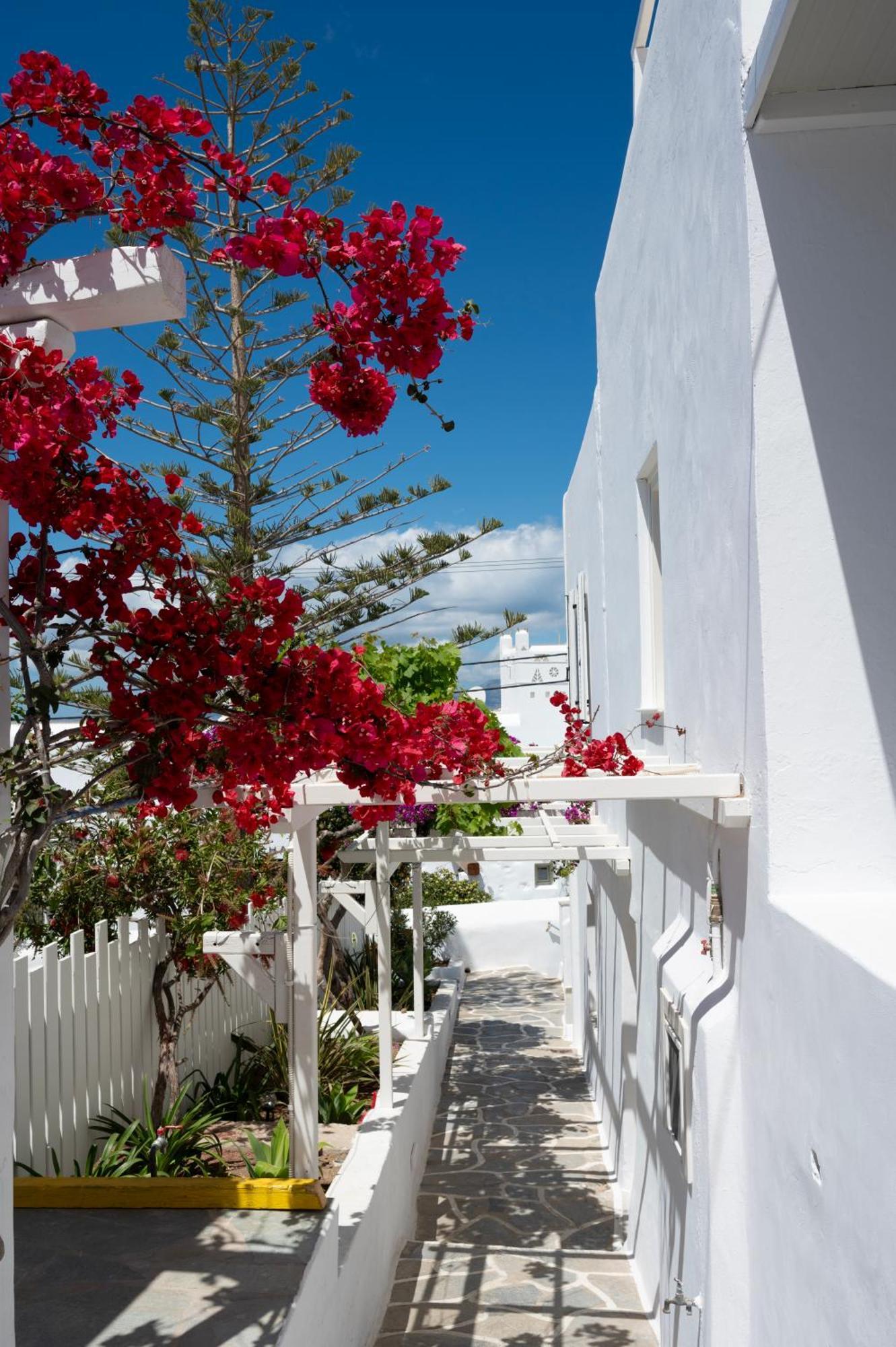 Boutique Di Vito 호텔 Mykonos Town 외부 사진